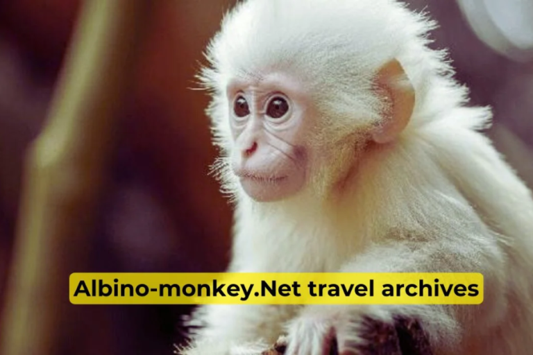 albino-monkey.net travel archives